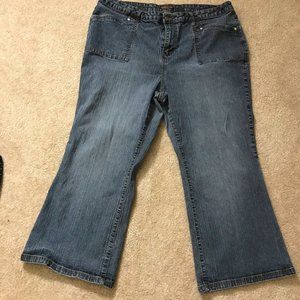 Women's  Boot Cut Jeans Short Inseam 24s